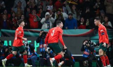 开云下载-包含葡萄牙力克匈牙利，锁定欧锦赛席位的词条