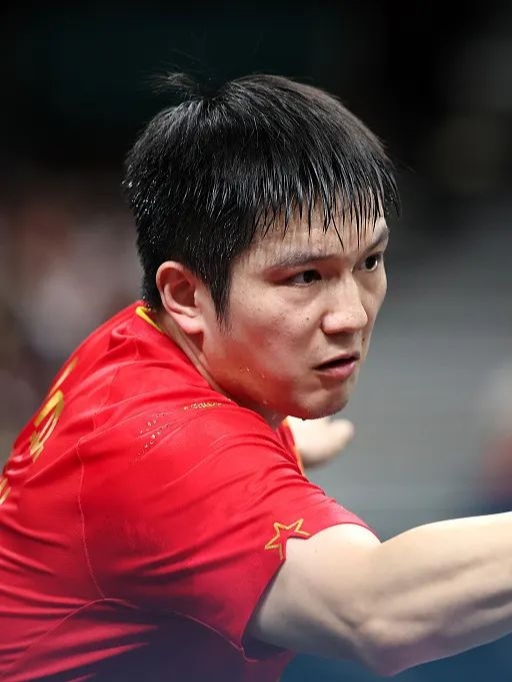 包含韩国队力克波兰队，樊振东高光表现的词条