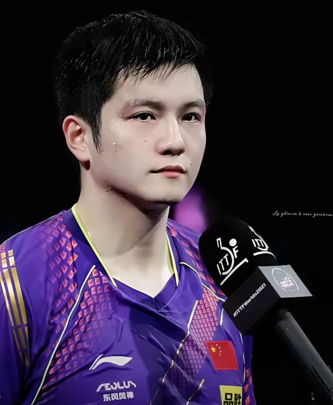 英国乒乓球队绝地反击奥地利乒乓球队，樊振东统治全场的简单介绍