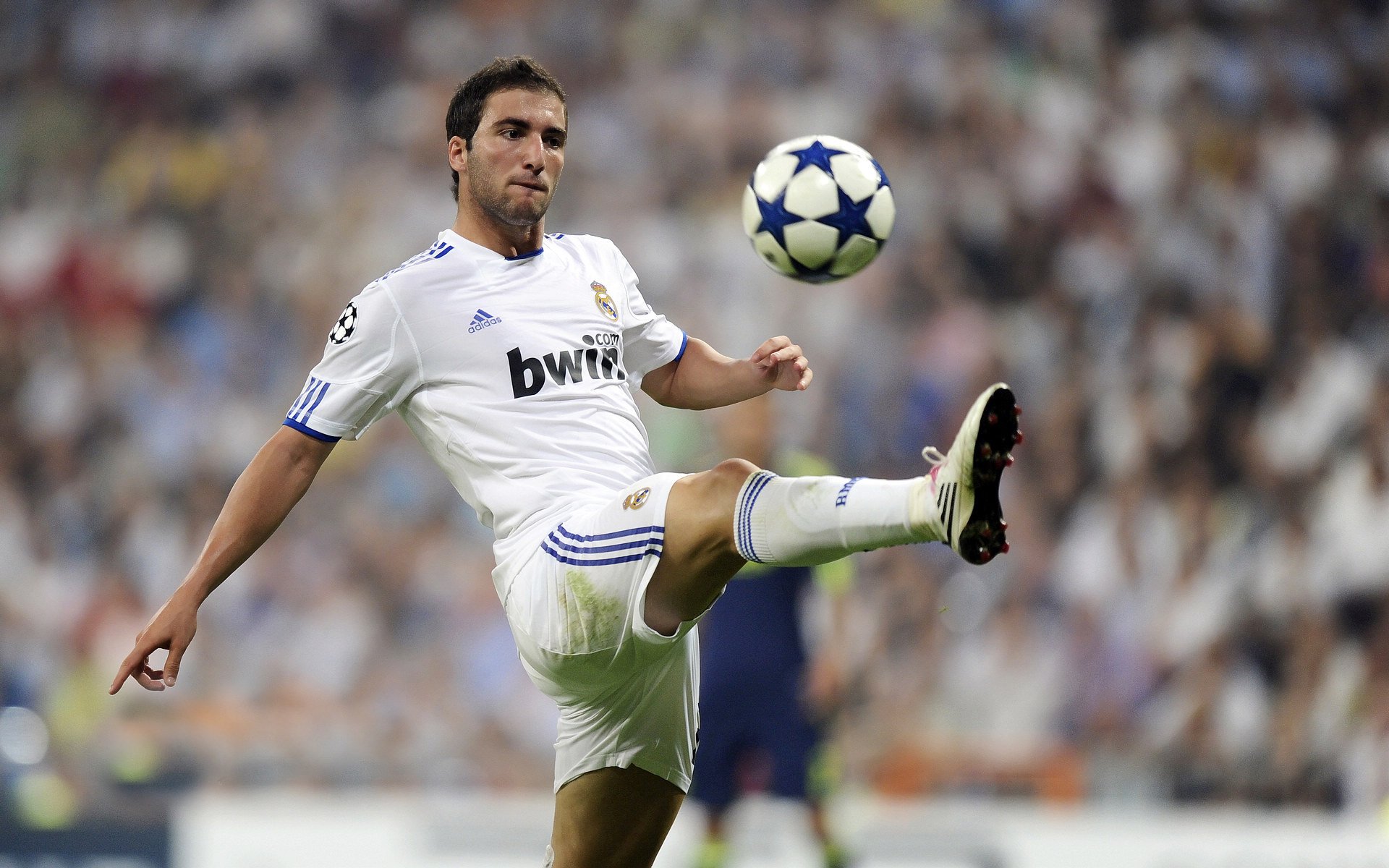 攻防一体!京多安统治全场,安哥拉铁蹄踏平苏格兰